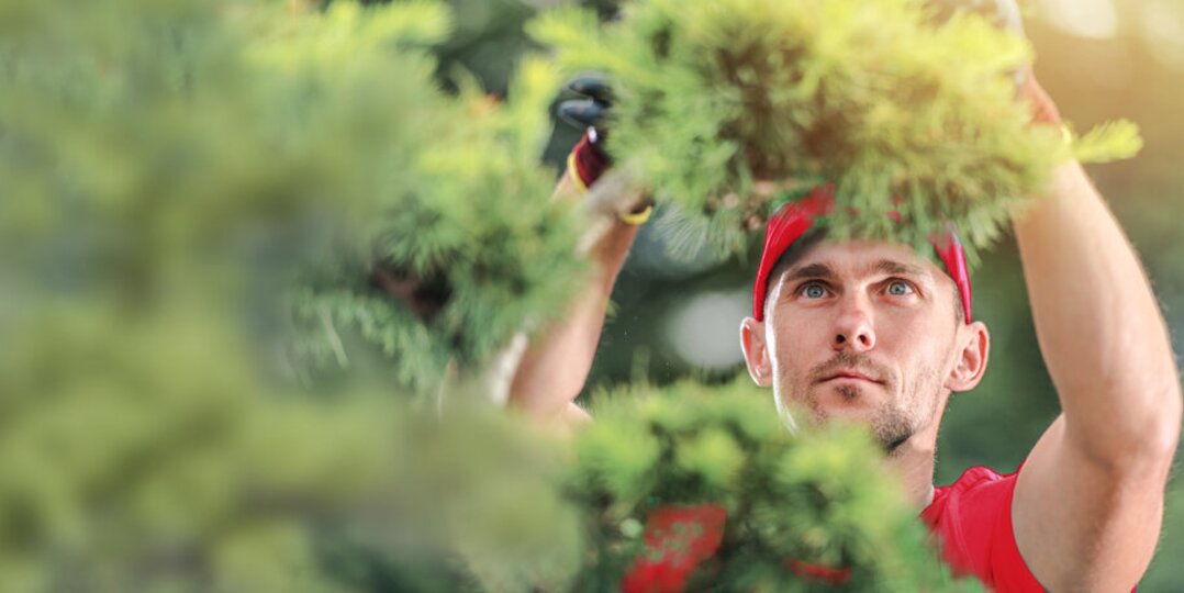 Service d'entretien des espaces verts et des installations extérieures, garantissant la sécurité, la durabilité et une première impression soignée de vos propriétés